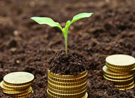 The proportioning rule and your SMSF's photo