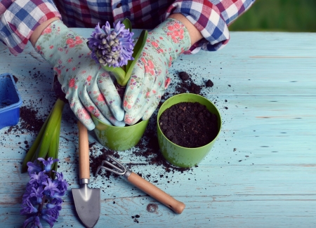 Hobby v Business's photo