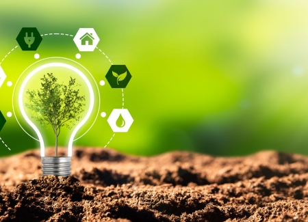 Green light for LRBAs's photo