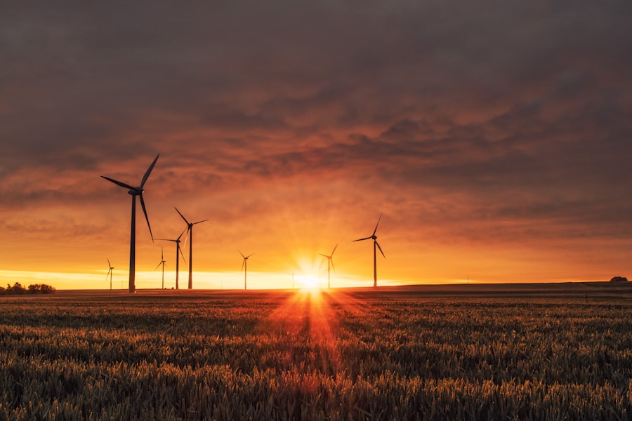 Resources & Energy